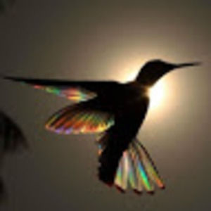 Meet your Posher, Lynn